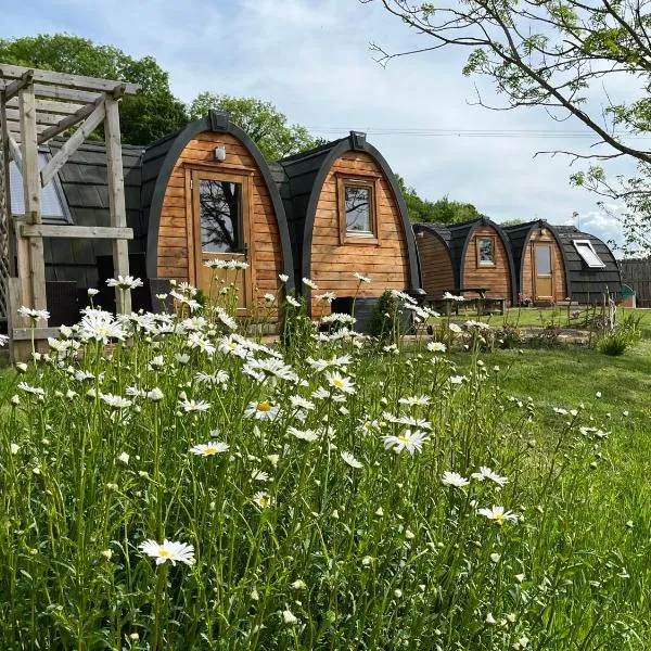 Hedgehog Glamping Pod School House Farm, hotel in Leighton