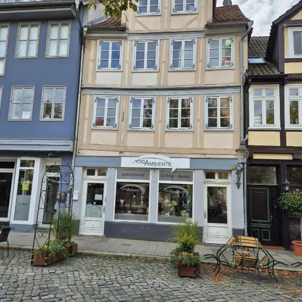 Altstadt Apartment mit Ausblick, hotel v destinaci Braunschweig