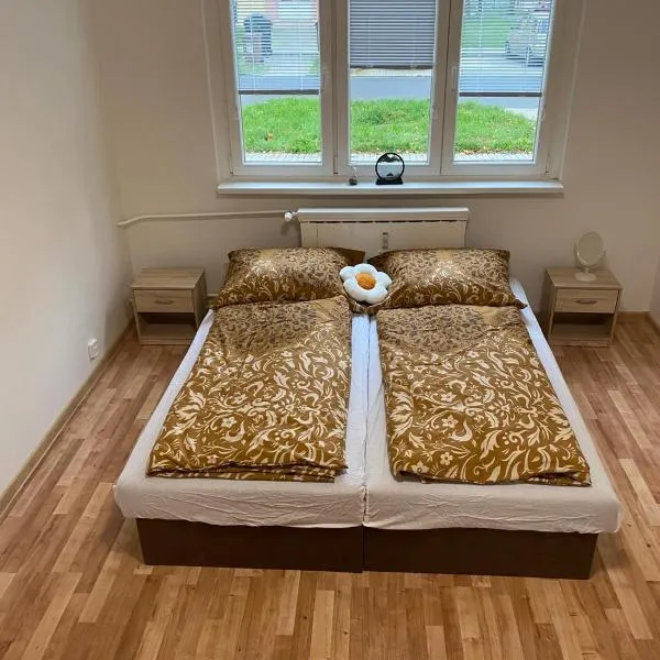 Apartmán ve městě Ostrov pro 3 osoby, hotel v destinaci Ostrov