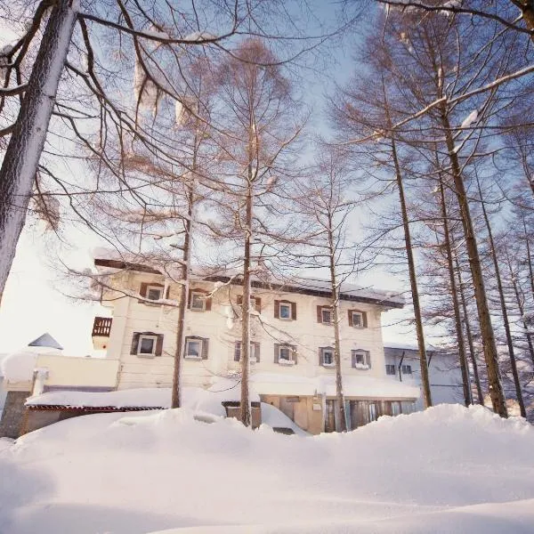 Hotel Eldia Madarao, hotel in Iiyama