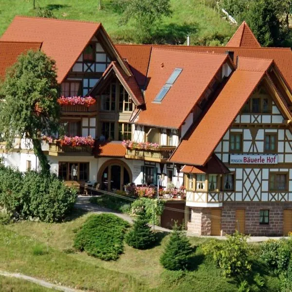 Bäuerlehof, hotel v destinaci Seebach