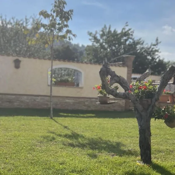 RoMi's house, hotel in Colonna