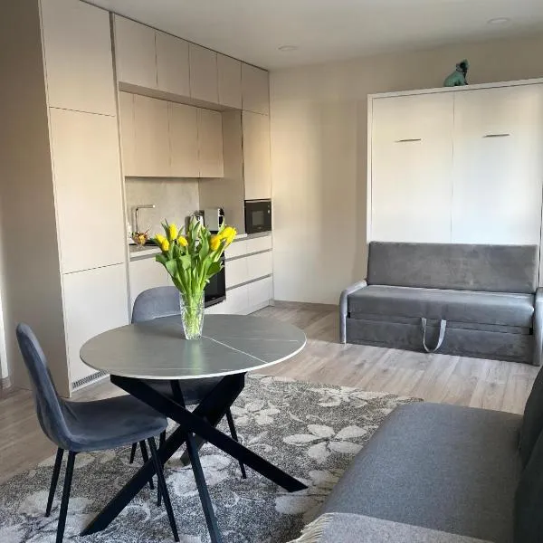 Apartments in the center, hotel Kaunasban