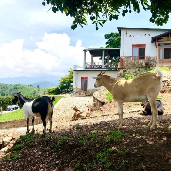 Amazi Land Home and Farm Stay, hotel v destinaci Kibuye
