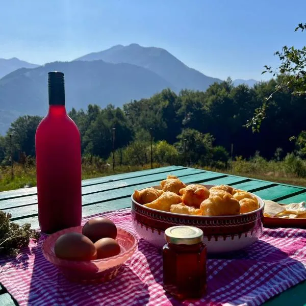 Kolibe Ćorić, hotel a Mojkovac