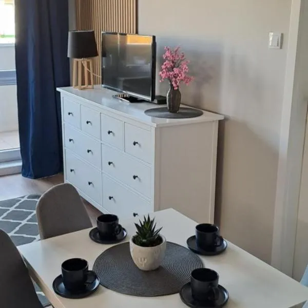 Apartament Blue, hotel in Płock