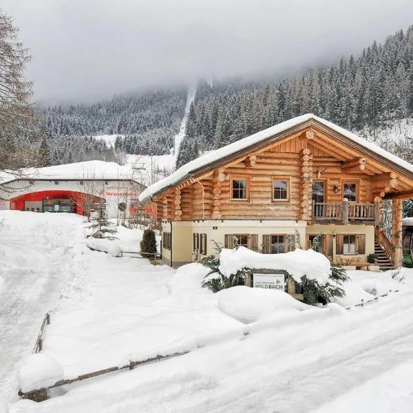Apartment Bad Kleinkirchheim - 24 Chalet neben Therme und Wandergebiet, hotell sihtkohas Bad Kleinkirchheim