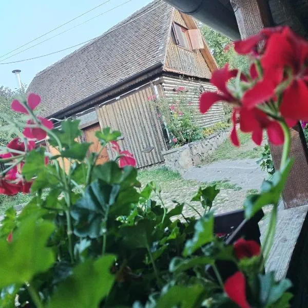 Casa Bunicului, hotel in Poplaca