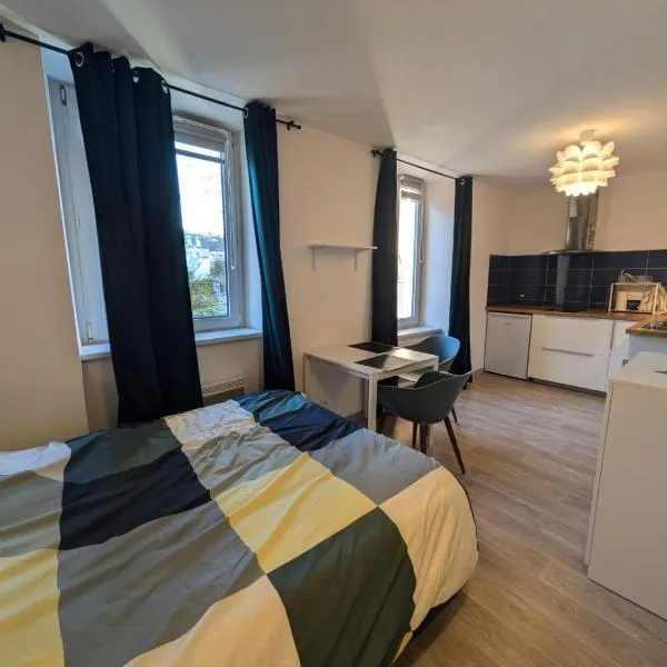 Appartement Studio – hotel w Miluzie