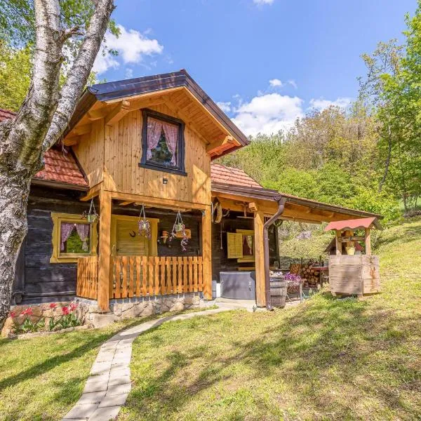 Chalet Birchwood With Whirlpool and Sauna - Happy Rentals, Hotel in Hum Breznički
