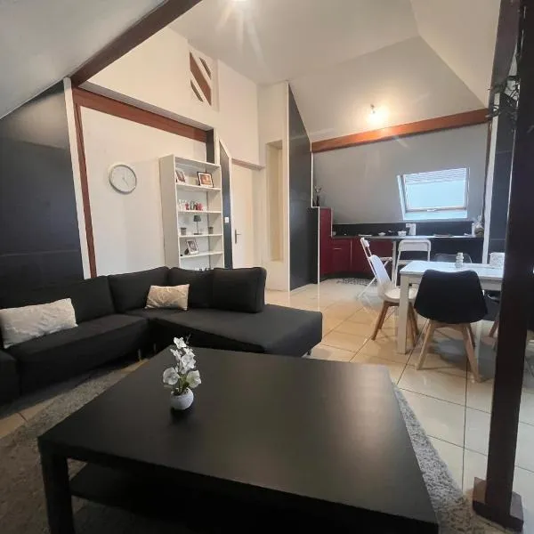 Appartement 70m2 Illkirch centre, hotel v destinaci Illkirch-Graffenstaden