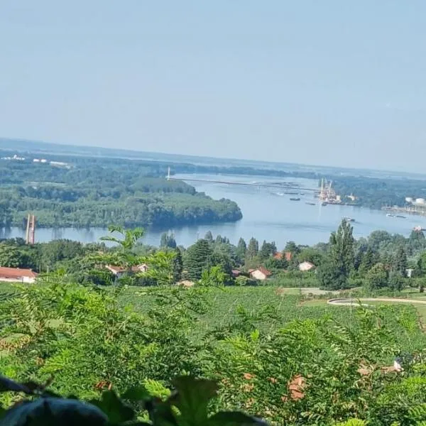 View Point House, hotell sihtkohas Smederevo
