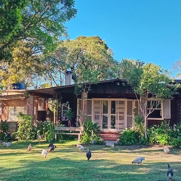 CHALÉ ALPINO RAIZ TODO MOBILIADO COM 2 QUARTOS COZINHA SALA BANHEIRO NATUREZA 2 KM centro de Canela rs - Foto 5