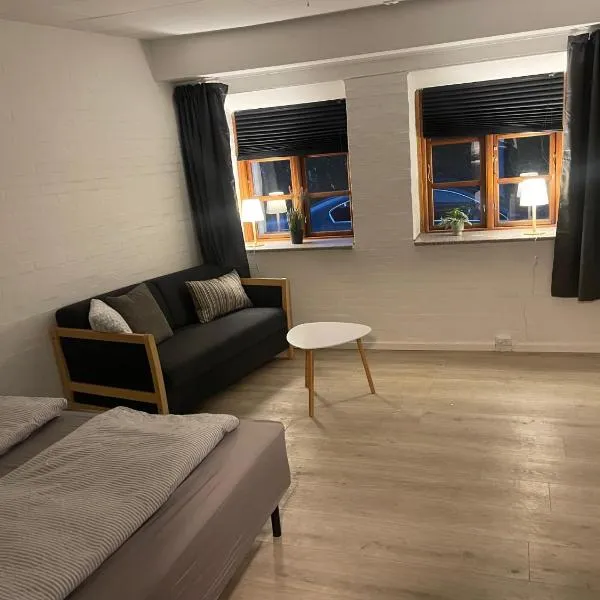 Apartment #1 with Wifi, close to city center, Beach and forrest, hotel v destinaci Aabenraa