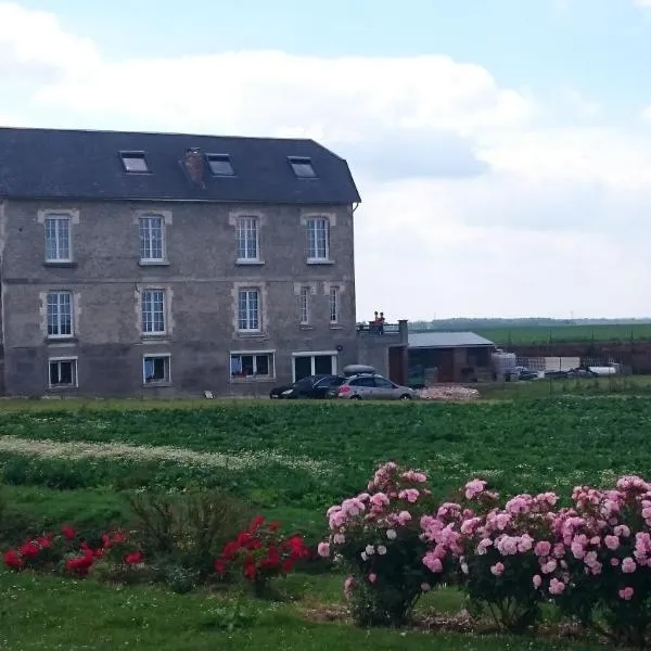 Villa Jules Verne - Chambres d'hôtes et gîte, hotel in Aizecourt-le-Haut