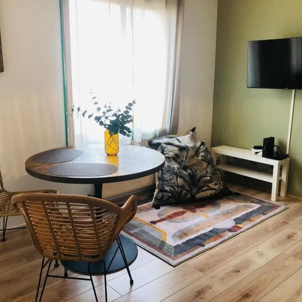 Studio cozy Hyper Centre, hotel in La Roche-sur-Yon