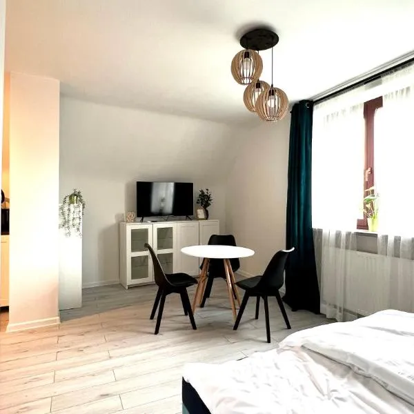 Apartament Katedralna 10, hotel v destinaci Lehnice