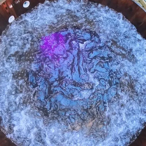 Cabañas Pewma Futrono, отель в городе Футроно