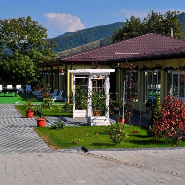 Pensiunea Vadu Izei - Cazare, Restaurant, Piscină, Sală de Evenimente, hotel v destinaci Vadu Izei