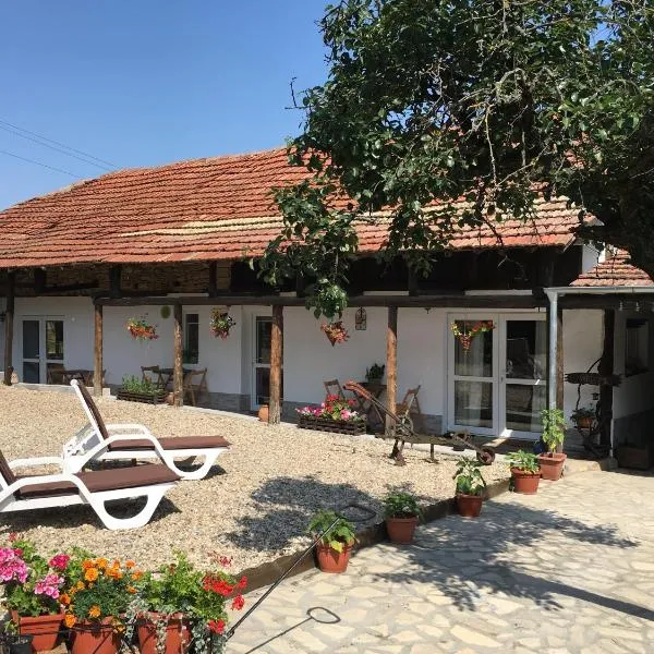 Sunflower Guest House Bulgaria, hotel Stefan Stambolovóban