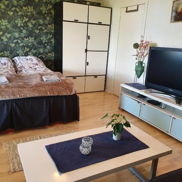 Stort privat rom, hotel v destinaci Hauknes
