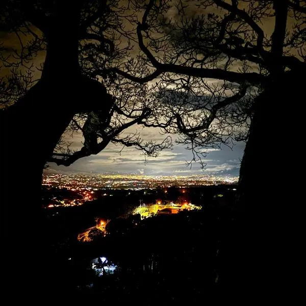 Casa del Arbol Feel Good, Hotel in Naranjo