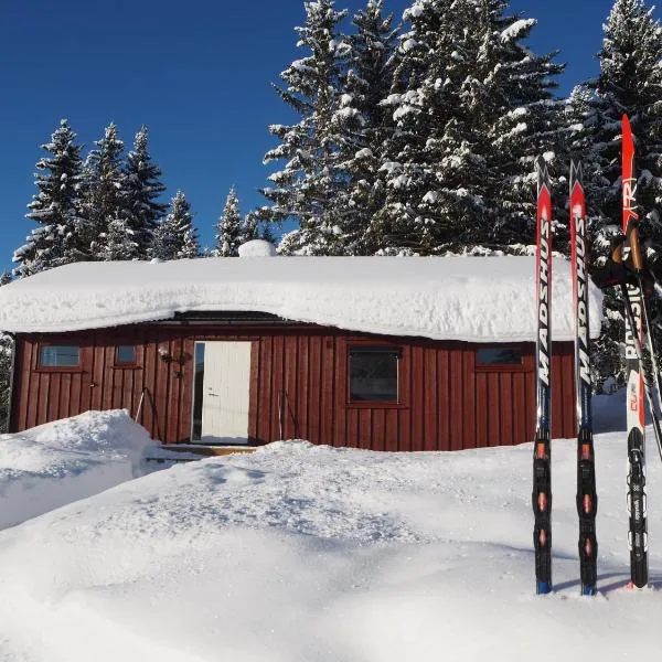 Cabin with great view close to town and ski area, hotel in Lillehammer