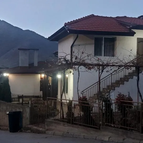 При баджанака, hotel in Devin