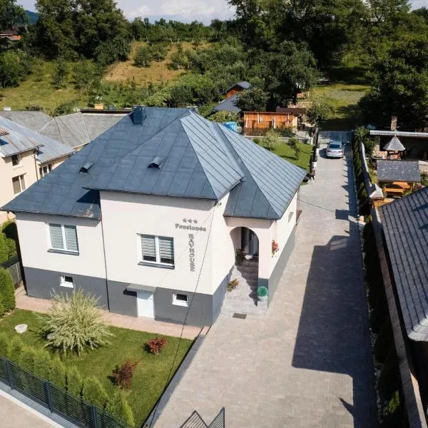 Pensiunea RAVHOUSE, hotel v destinaci Vadu Izei