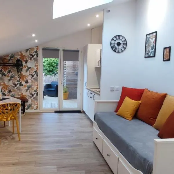 Studio entre forêt et lac – hotel w mieście Sanguinet