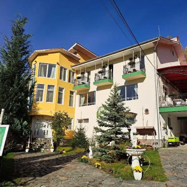 Pensiunea La Mesteceni -Zur Birke, Poiana Marului-Caras Severin, hotel in Poiana Mărului