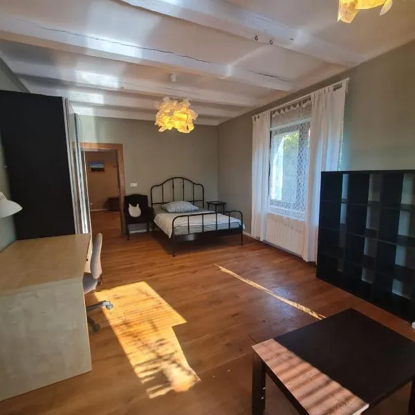 Guest Rooms in Private Home by Airport, Shared Bath, Non-Smoking, Contactless Check-in, No Staff, Quiet Stay, Short Stay, hotel in Kněžívka
