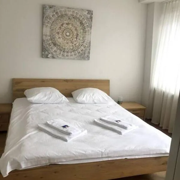 취리히에 위치한 호텔 Charming 1BR flat in the city centre - West9