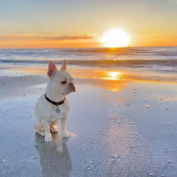 Pet & Family Friendly on the Bay, hotel v destinaci Bolivar Peninsula