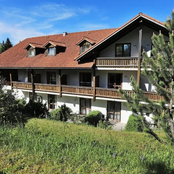 Studio Sumava-Bayerischer Wald, hotel en Philippsreut