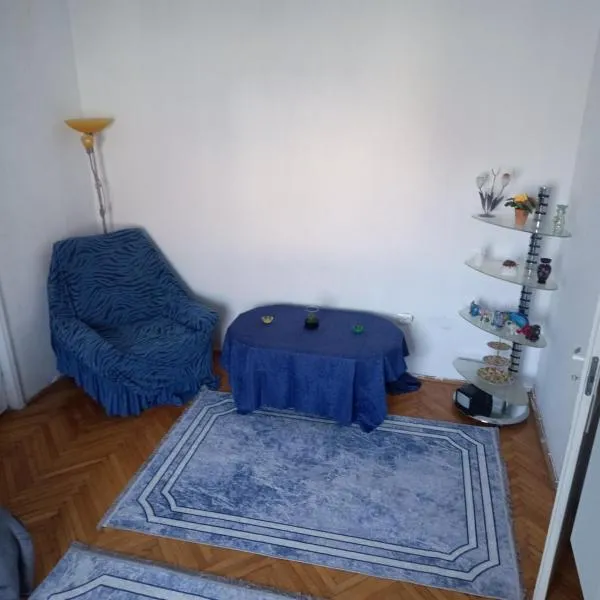 Apartament Victorian Blue, hotel in Baia Mare
