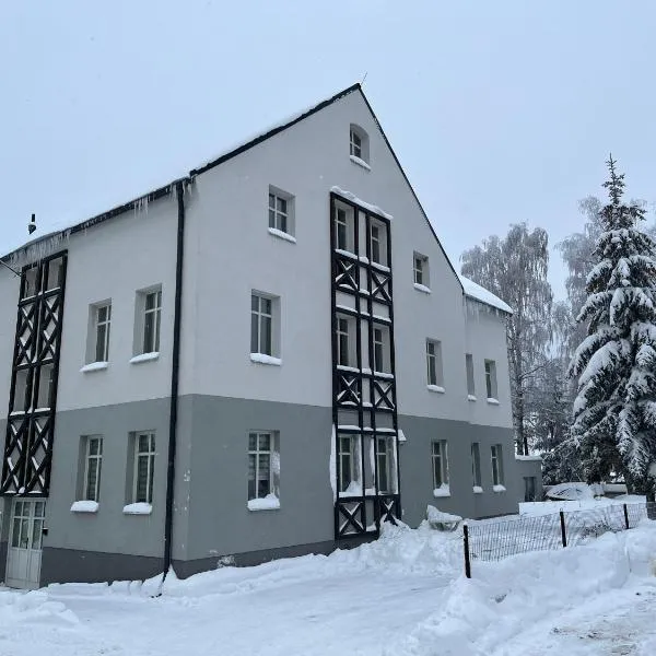 Apartmán Za Humny - krása Krušných hor, hotel v destinaci Horní Blatná