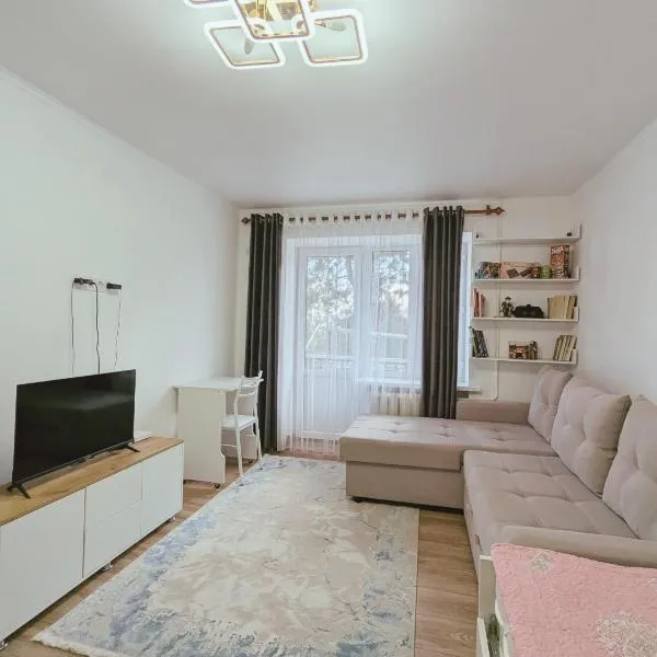 Cozy apartment in the city center of Karakol, hotel in Karakol