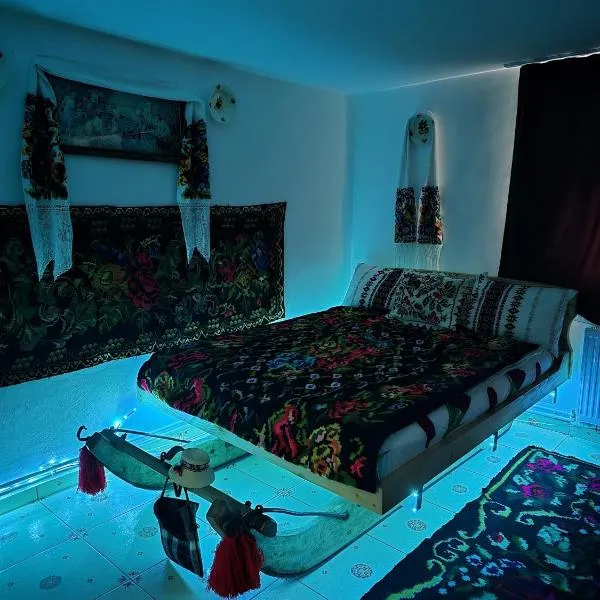 Casa Roxana、Vişeu de Mijlocのホテル
