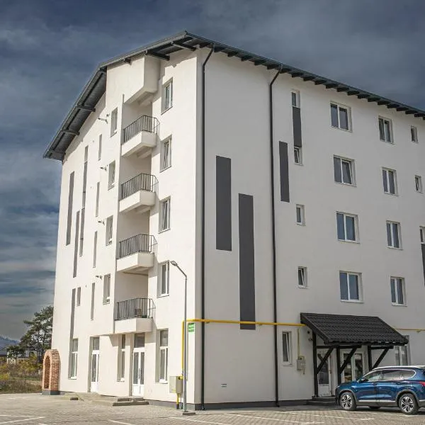 Arinis View, hotel in Gura Humorului