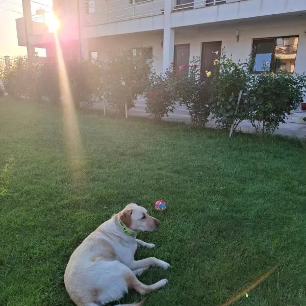 Casa ERICKA, hotel din Vama Veche
