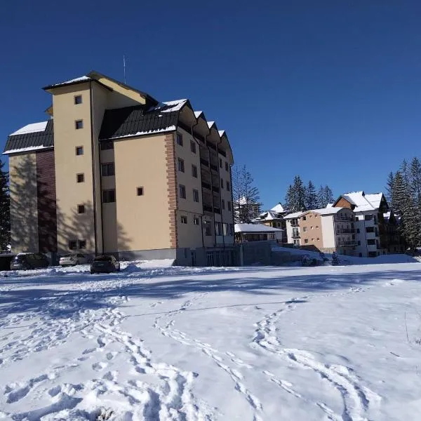 Apartman Petar, hotel v destinaci Nova Varoš