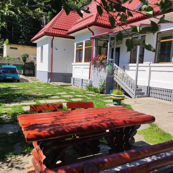 Little Bear Busteni 3 – hotel w mieście Buşteni