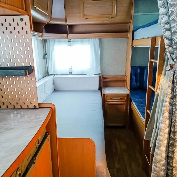 Santa's winter Caravan-Kabe Smaragd, hotel in Rovaniemi