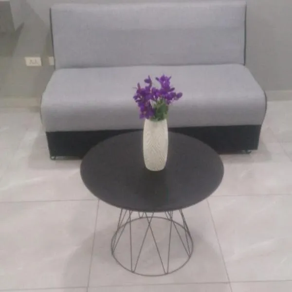 Centrico y comodo monoambiente, hotel in Santa Cruz de la Sierra
