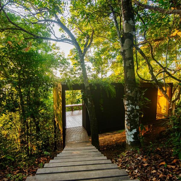 A Casinha da Floresta - Foto 3