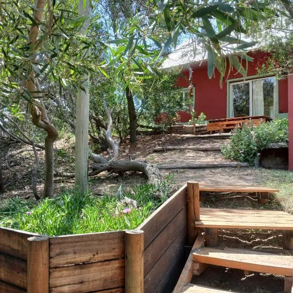 El Jardin de Sauce, hotel in Monte Hermoso