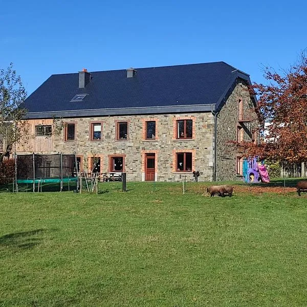Bastogne Maison de vacances avec sauna, hotel in Bertogne