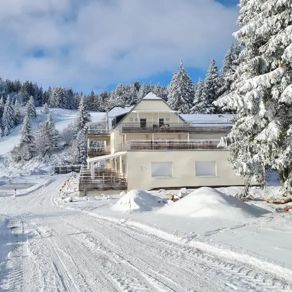 bel appartement 3 pièces dans la Résidence Vosges-Alsace Orbey, hotel v destinaci Orbey