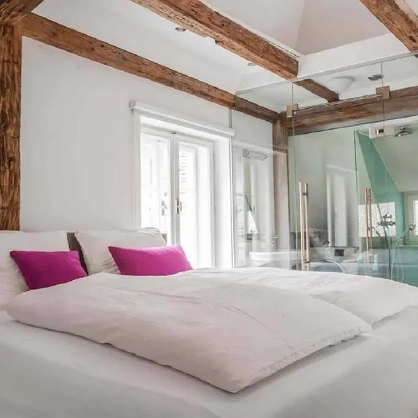 Goldene Pastete - Urban Luxury Apartments, hotel ve uŠtýrském Hradci